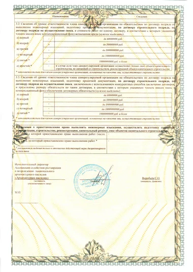 выписка из реестра членов сро стр.2